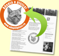 Sprijina Adoptiile