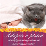 Adopta o pisica