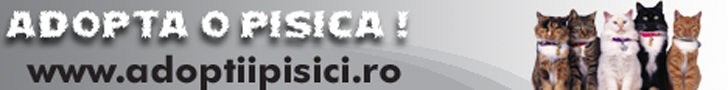 Adopta o pisica