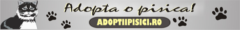 Adopta o pisica