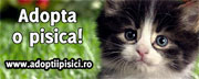 Adopta o pisica