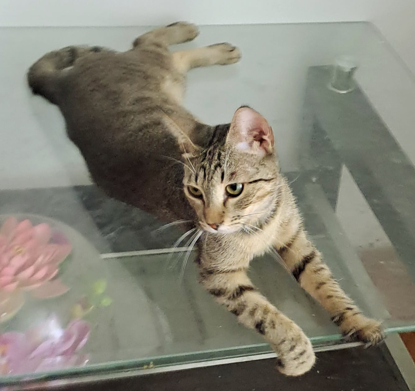 Mitzun