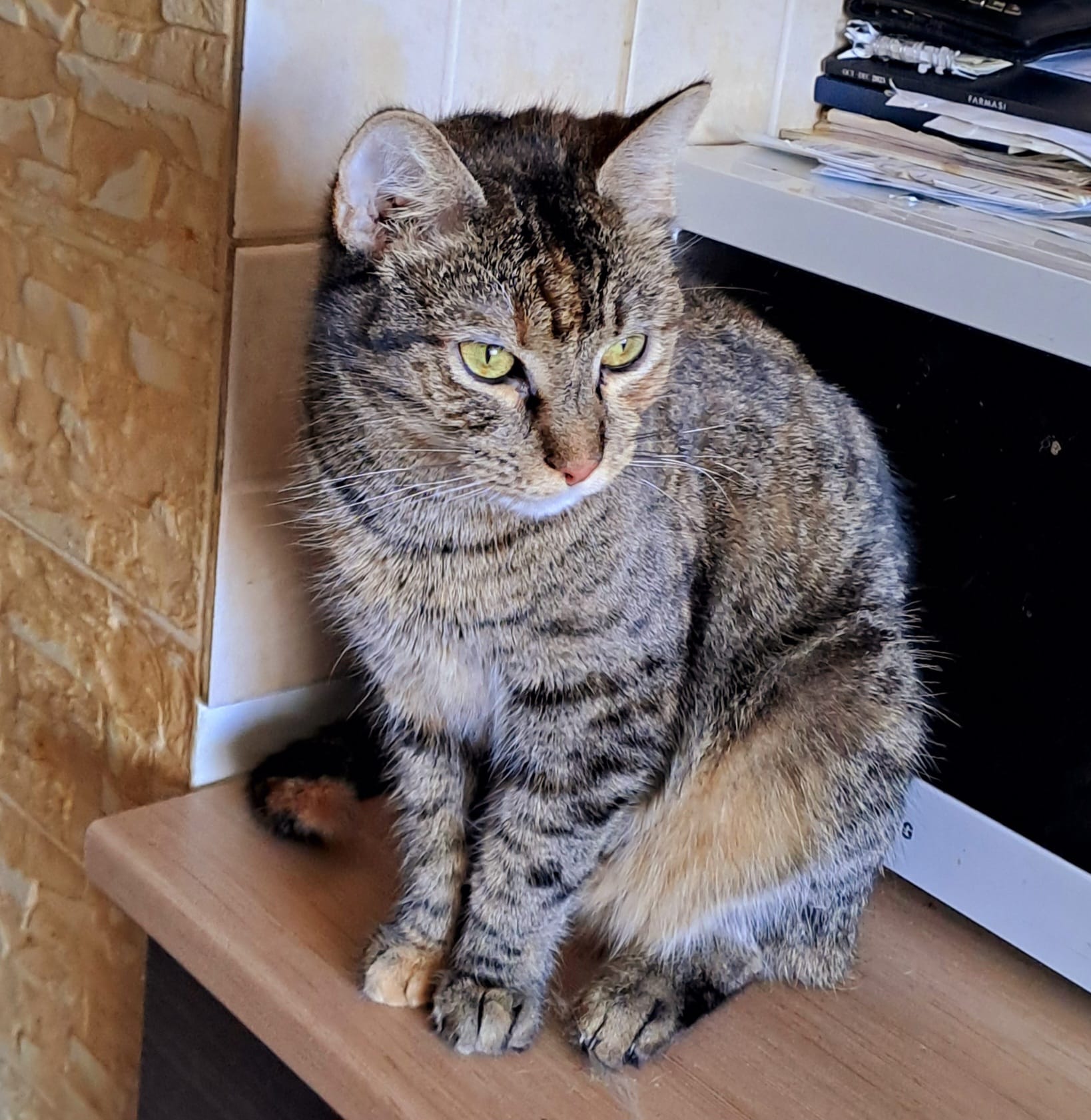 Luna