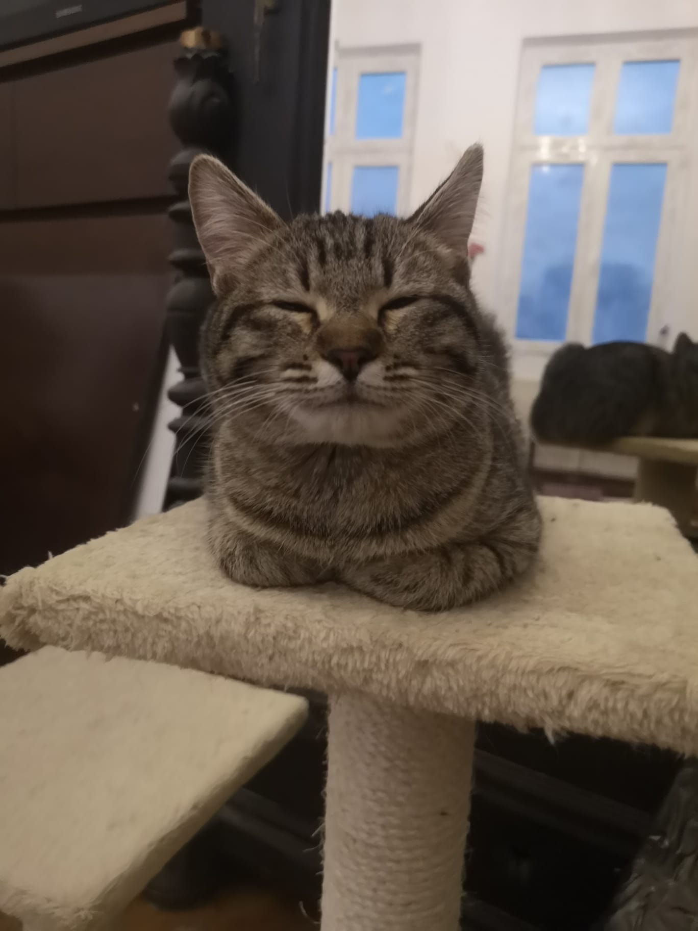 Zurly