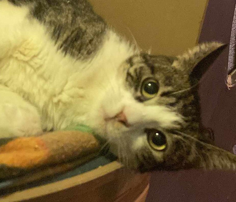 Ella