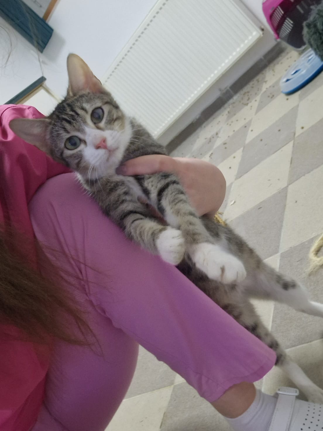 Misu