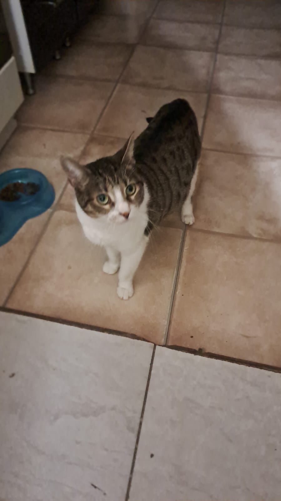 Mitzi