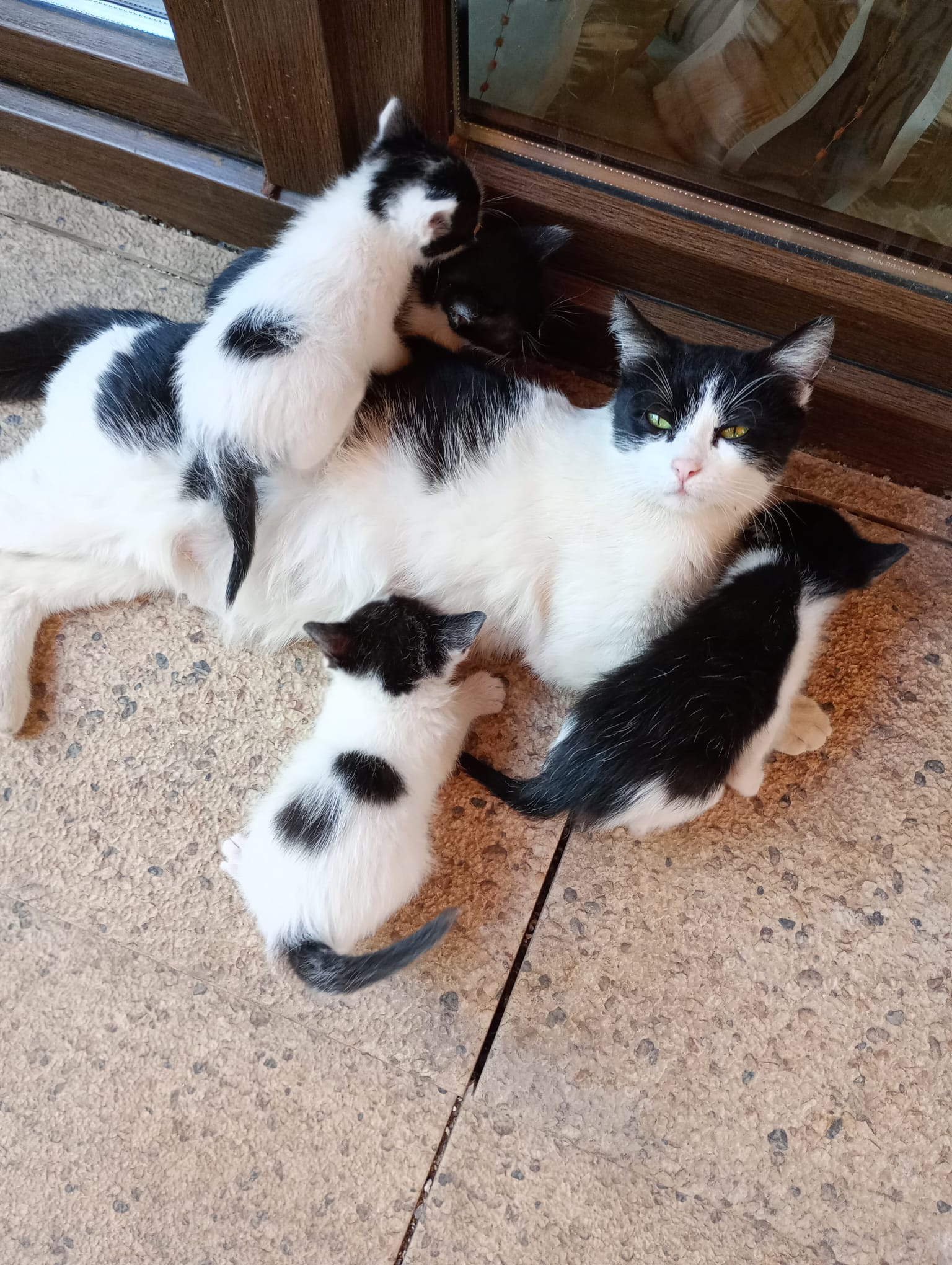 2 Baieti si o fetita