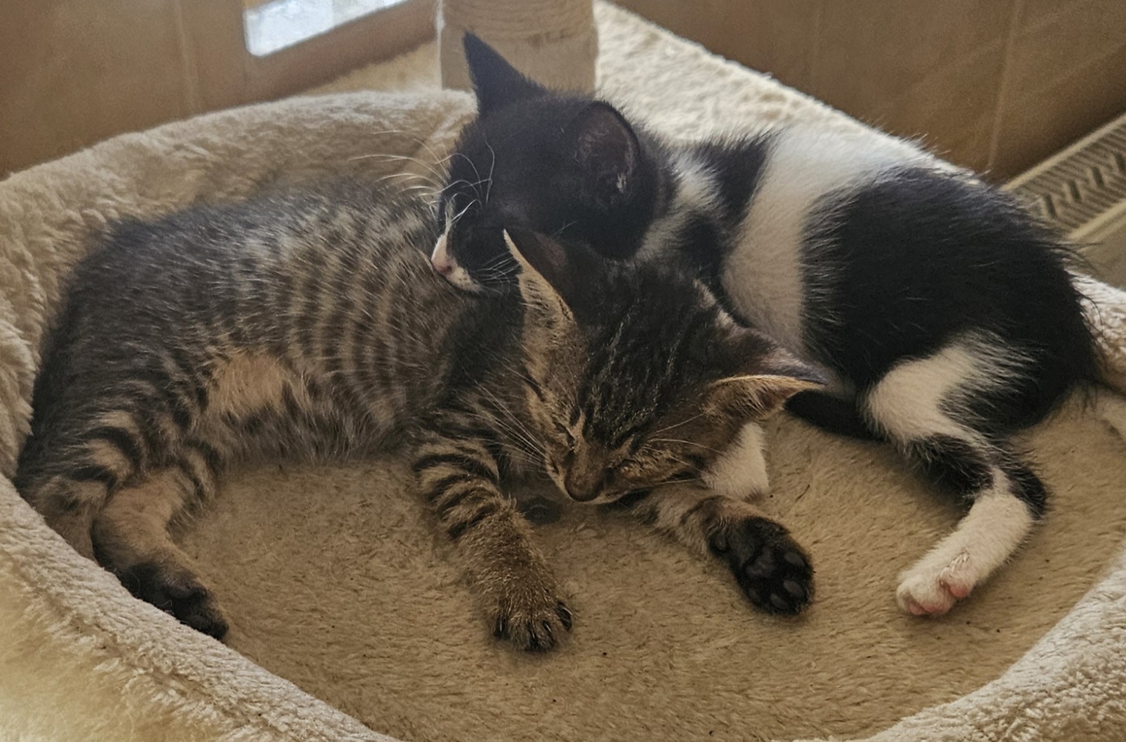 OREO