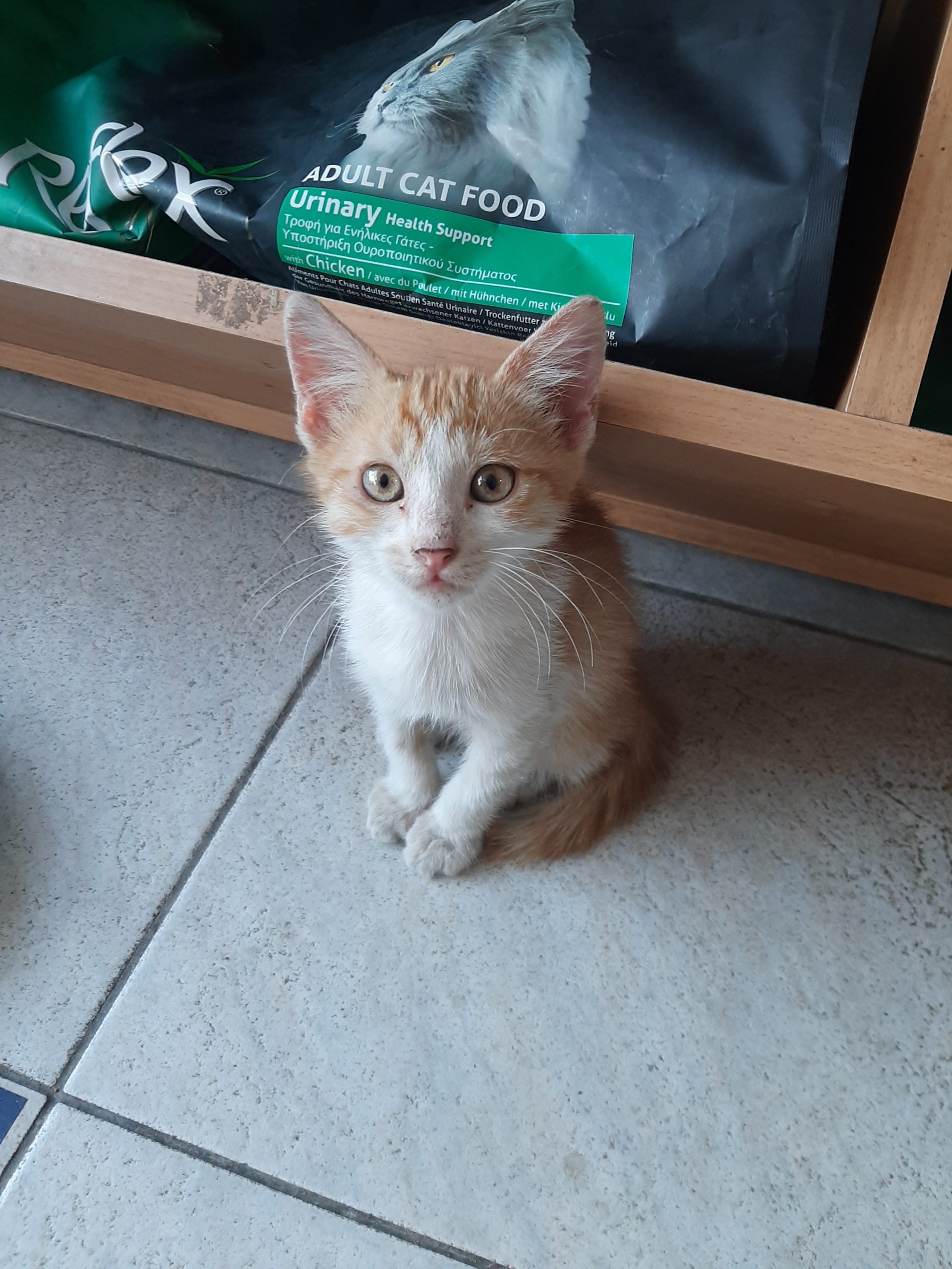 Baietel super frumusel si iubitor
