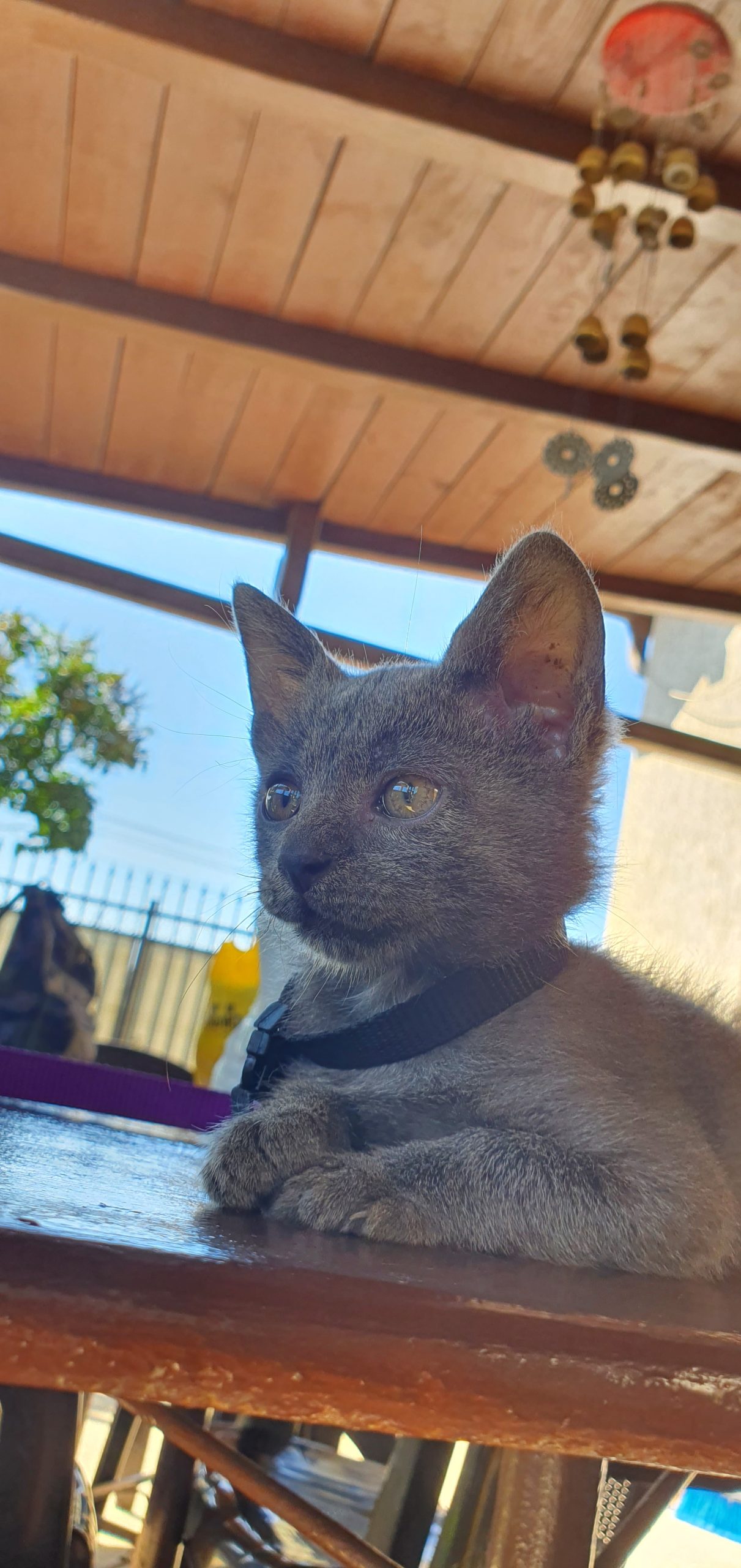 Zgubi