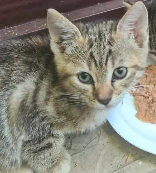 Minnie