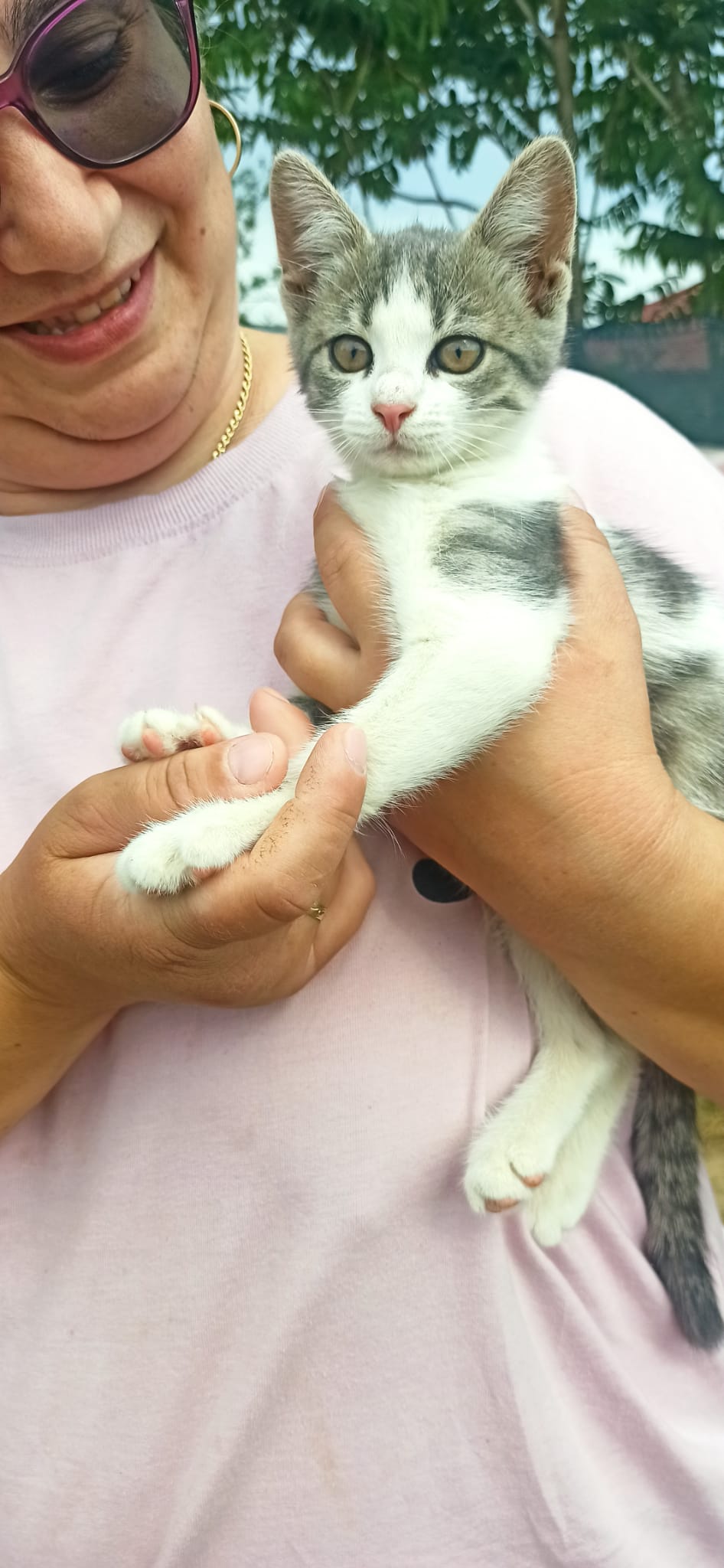 Miti pentru adoptie