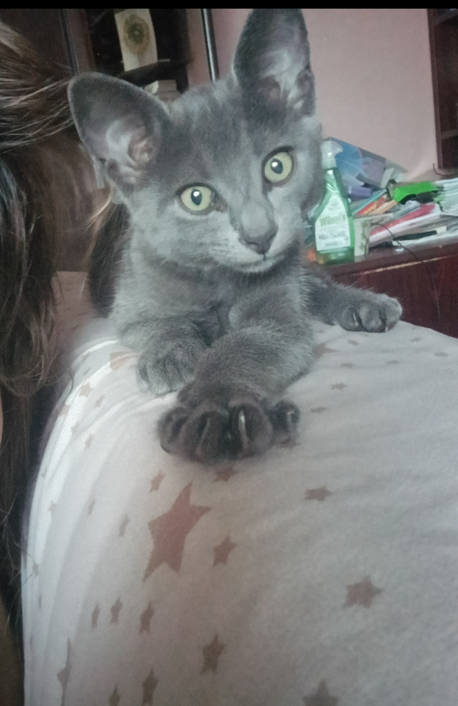 KORAT minunea albastră/fetită 3 luni