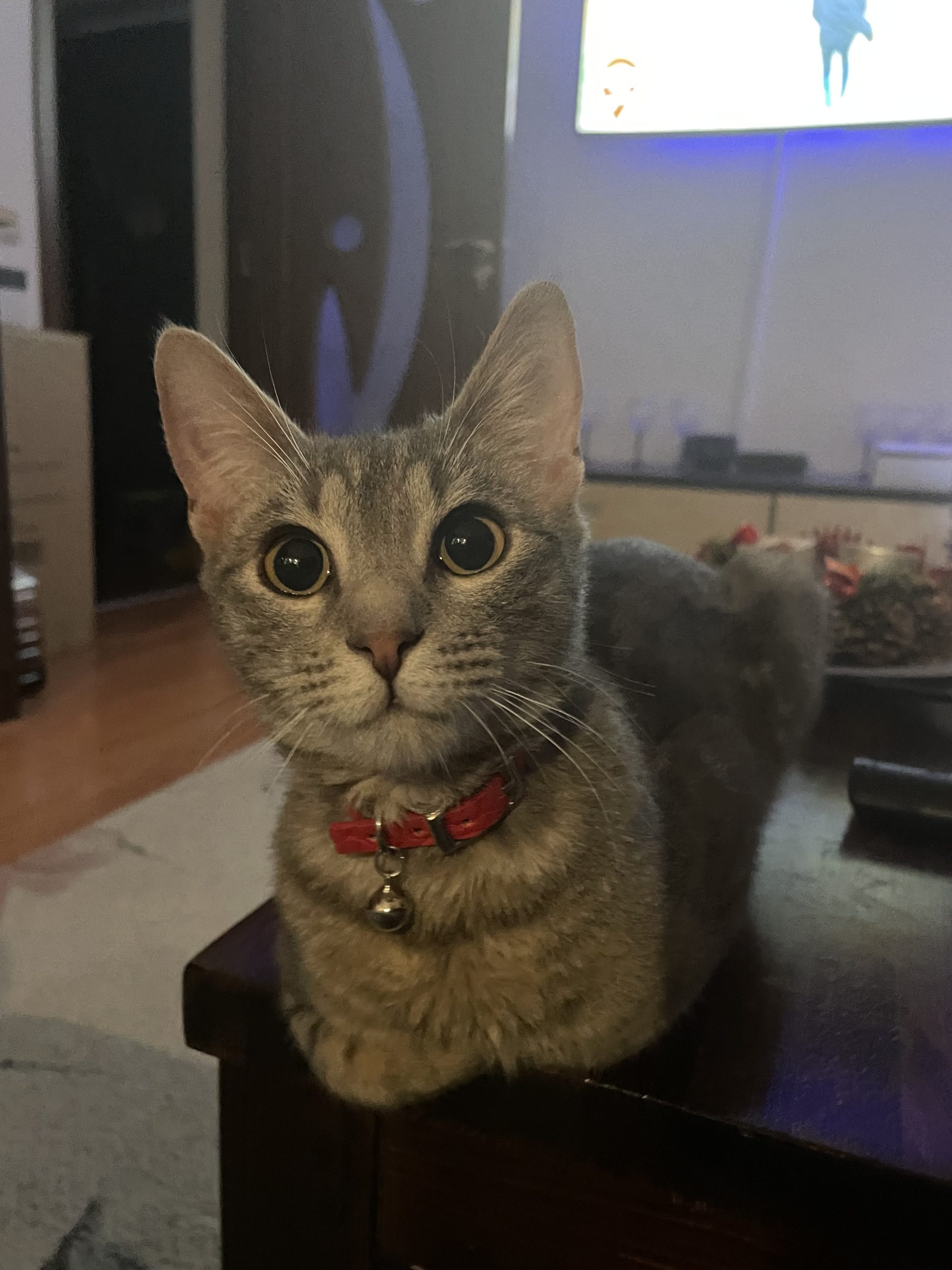 Pablo