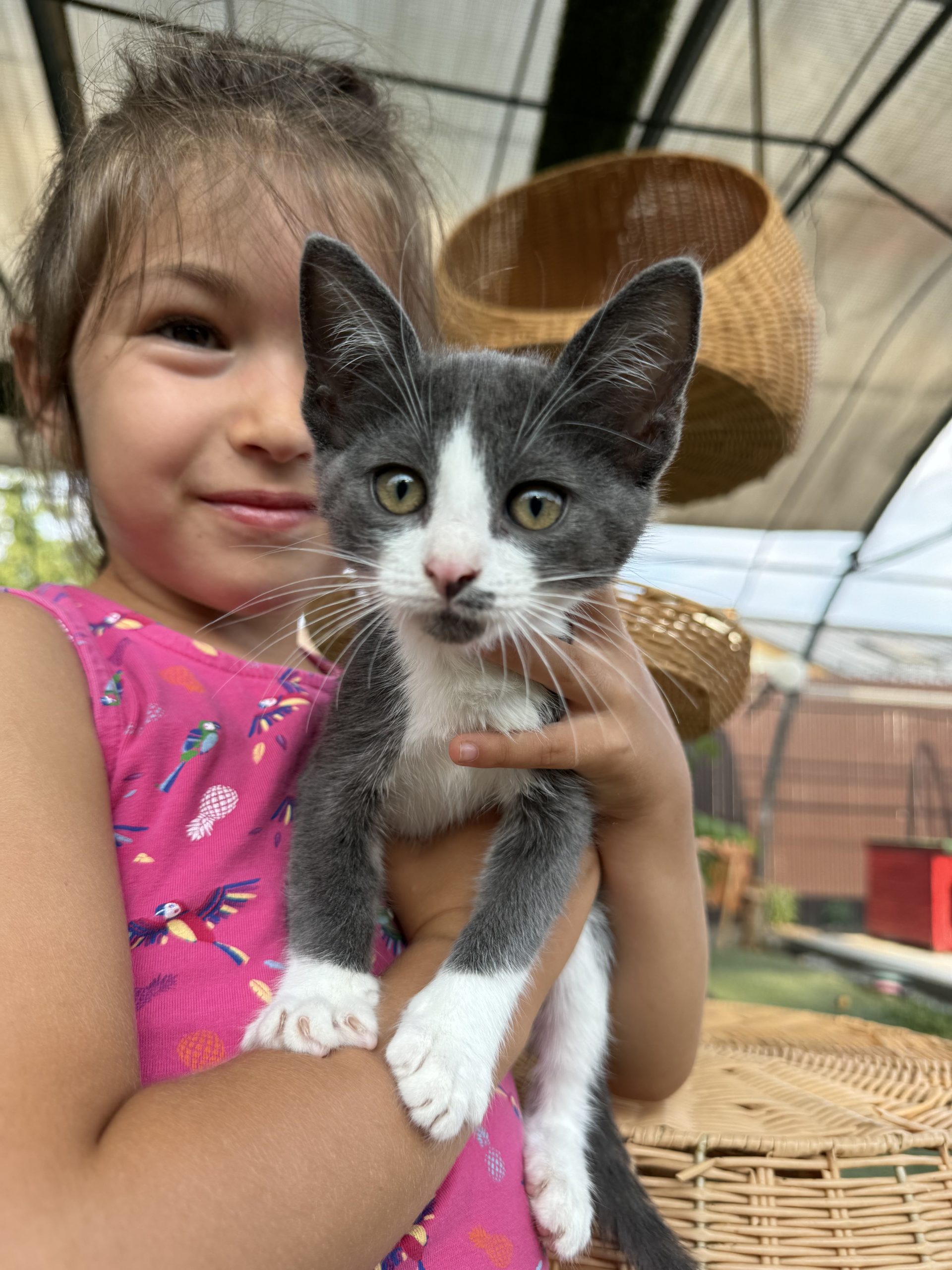 Kiki – micuta care iti va umple casa de bucurie!