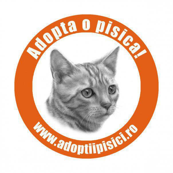 Adoptii Pisici