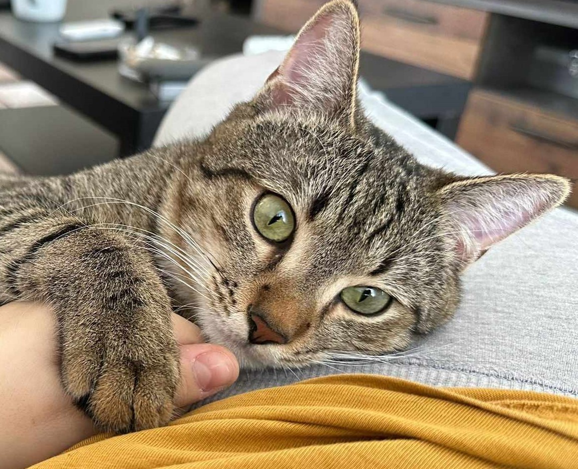 Leo