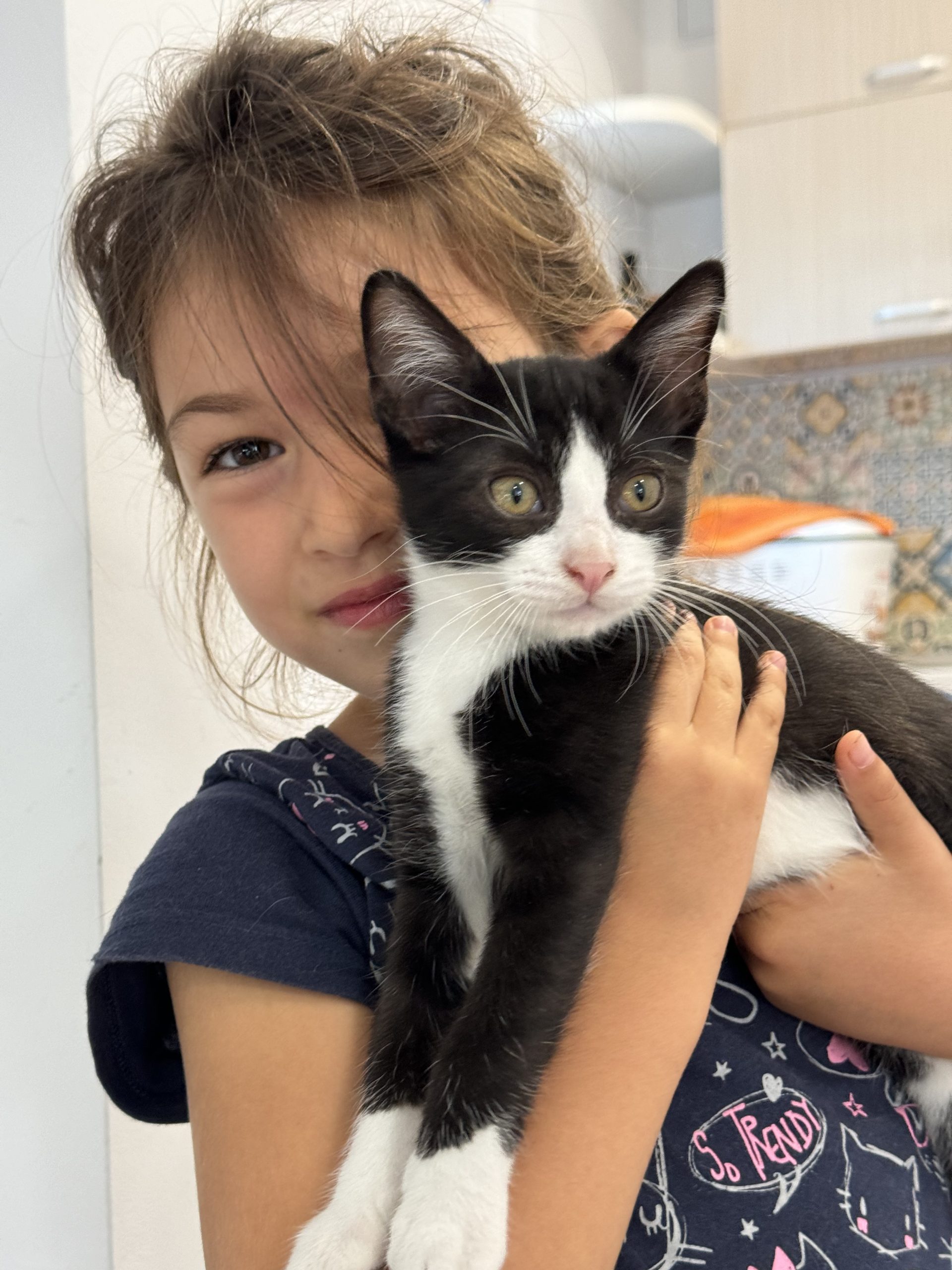 Zorro, eroul micut care iti va umple viata de bucurie!