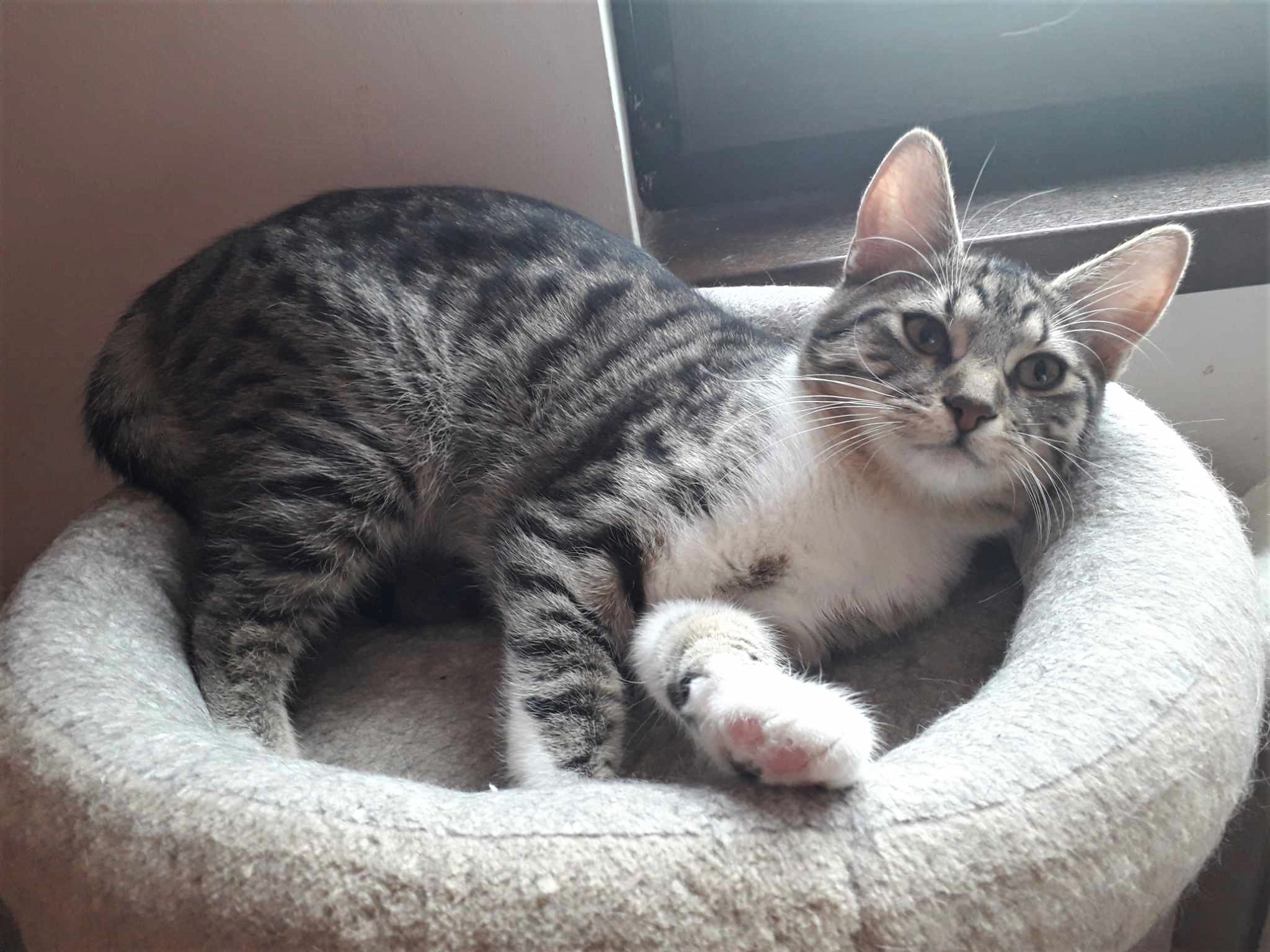 Musli, deliciosul cu care vrei sa iti incepi fiecare zi din viata ta de acum incolo
