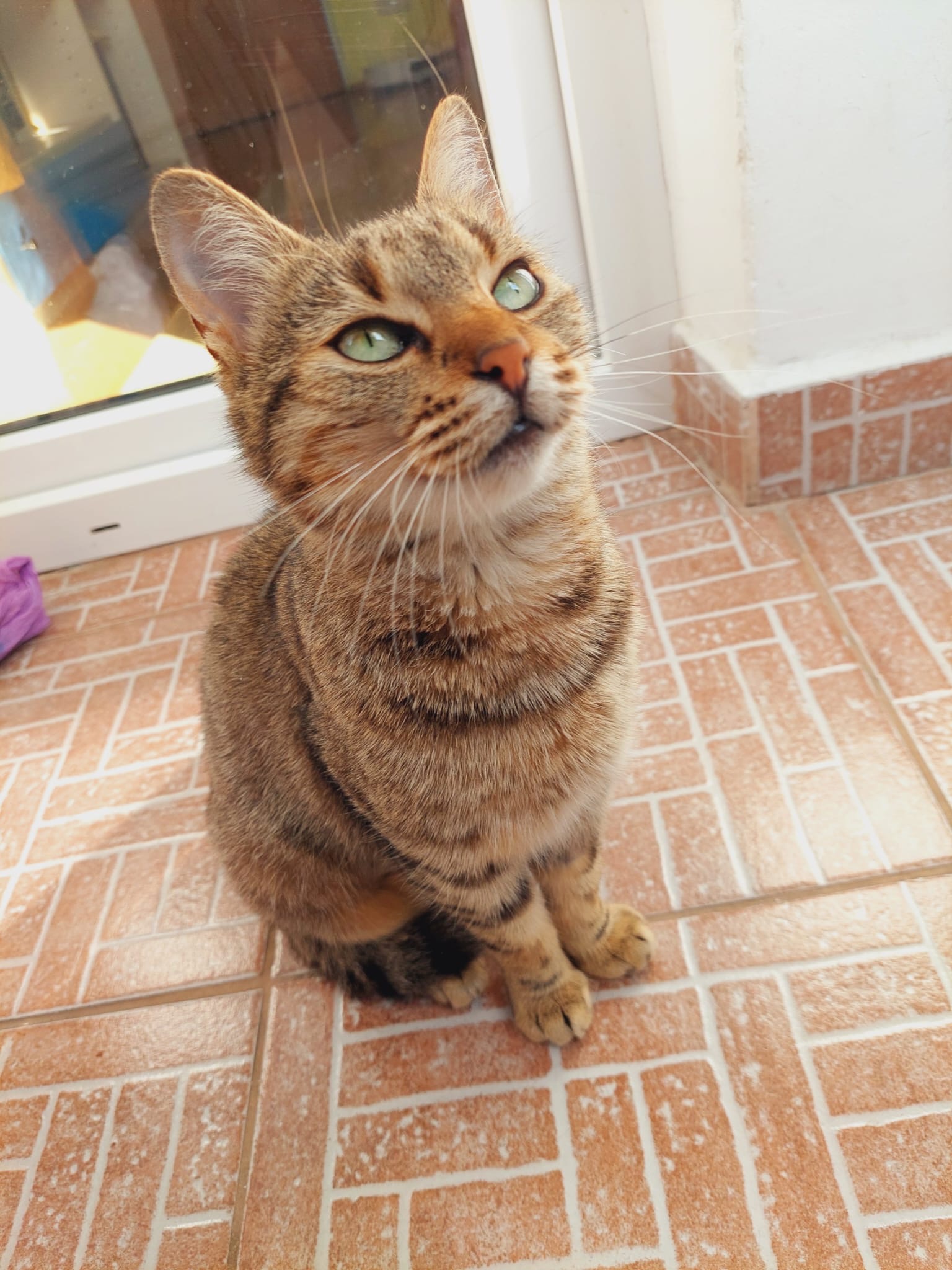 ❤️Hai să ne mutăm împreună om bun !Lili❤️