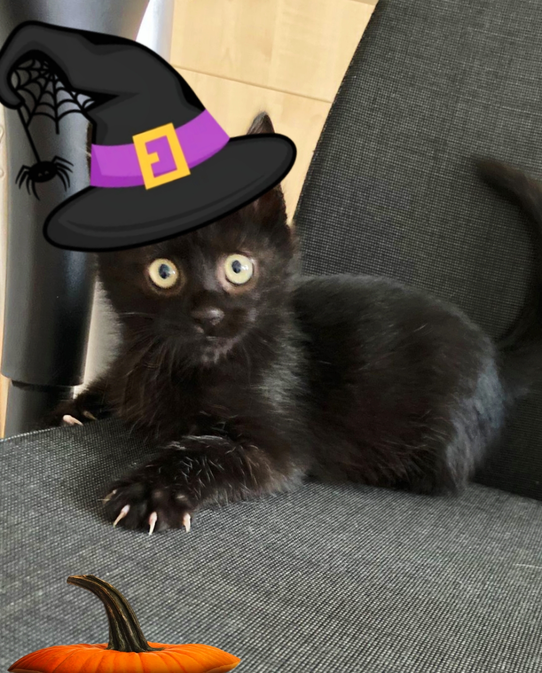 Treat or TRICK