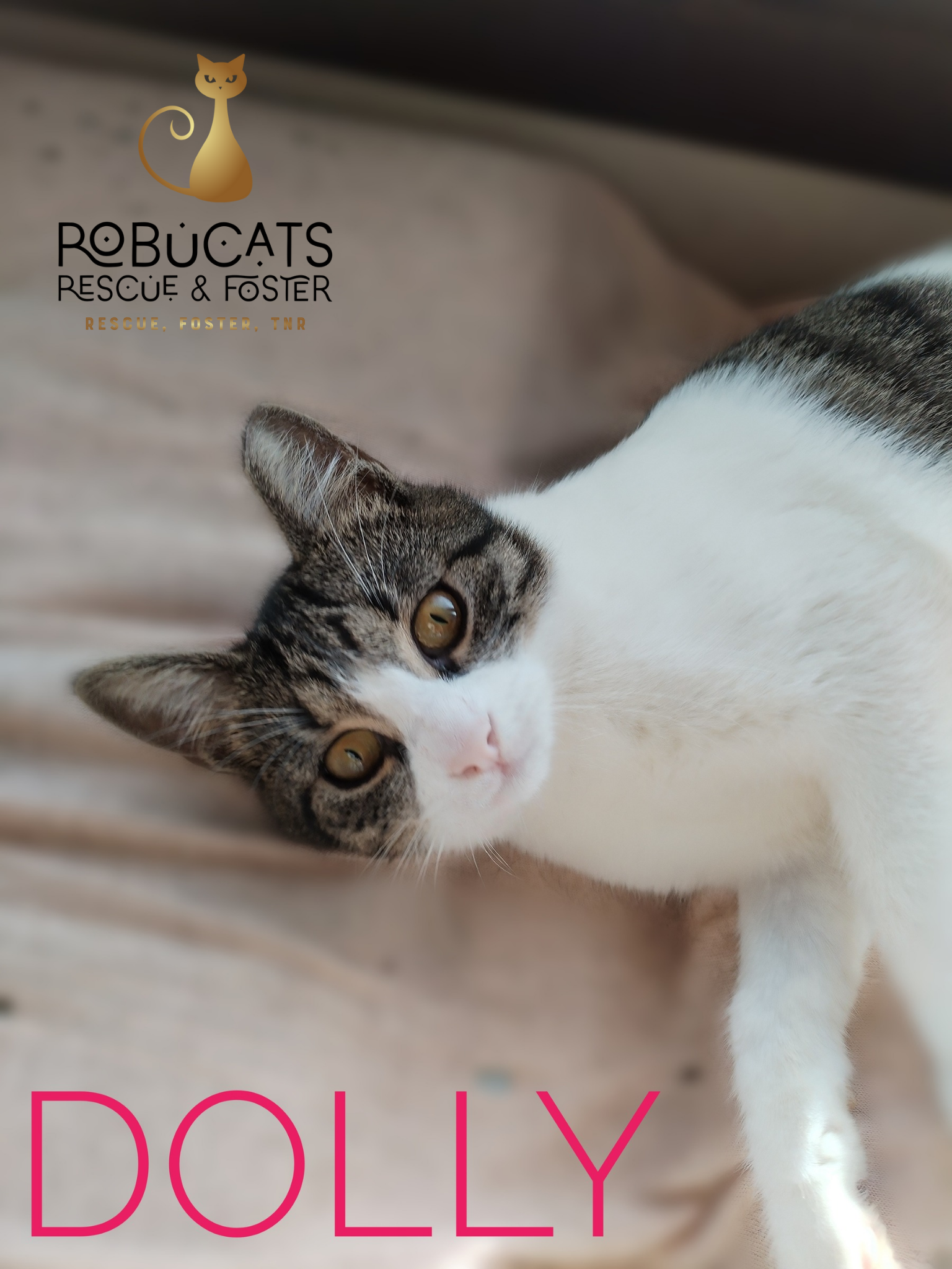 DOLLY o adolescentă dulce și iubitoare