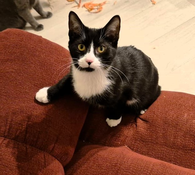 MINNIE își caută omul ei
