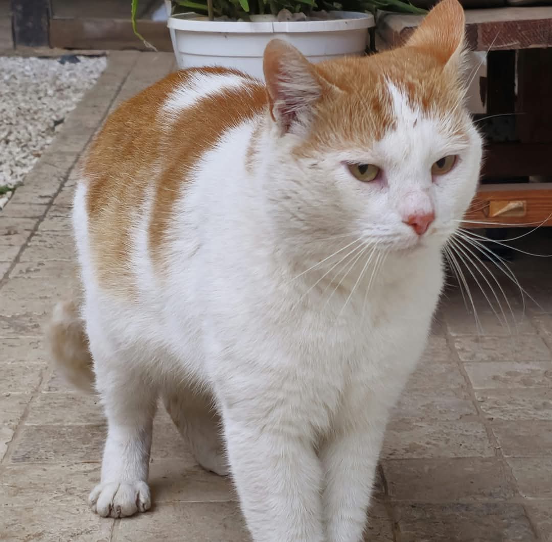Alejandro