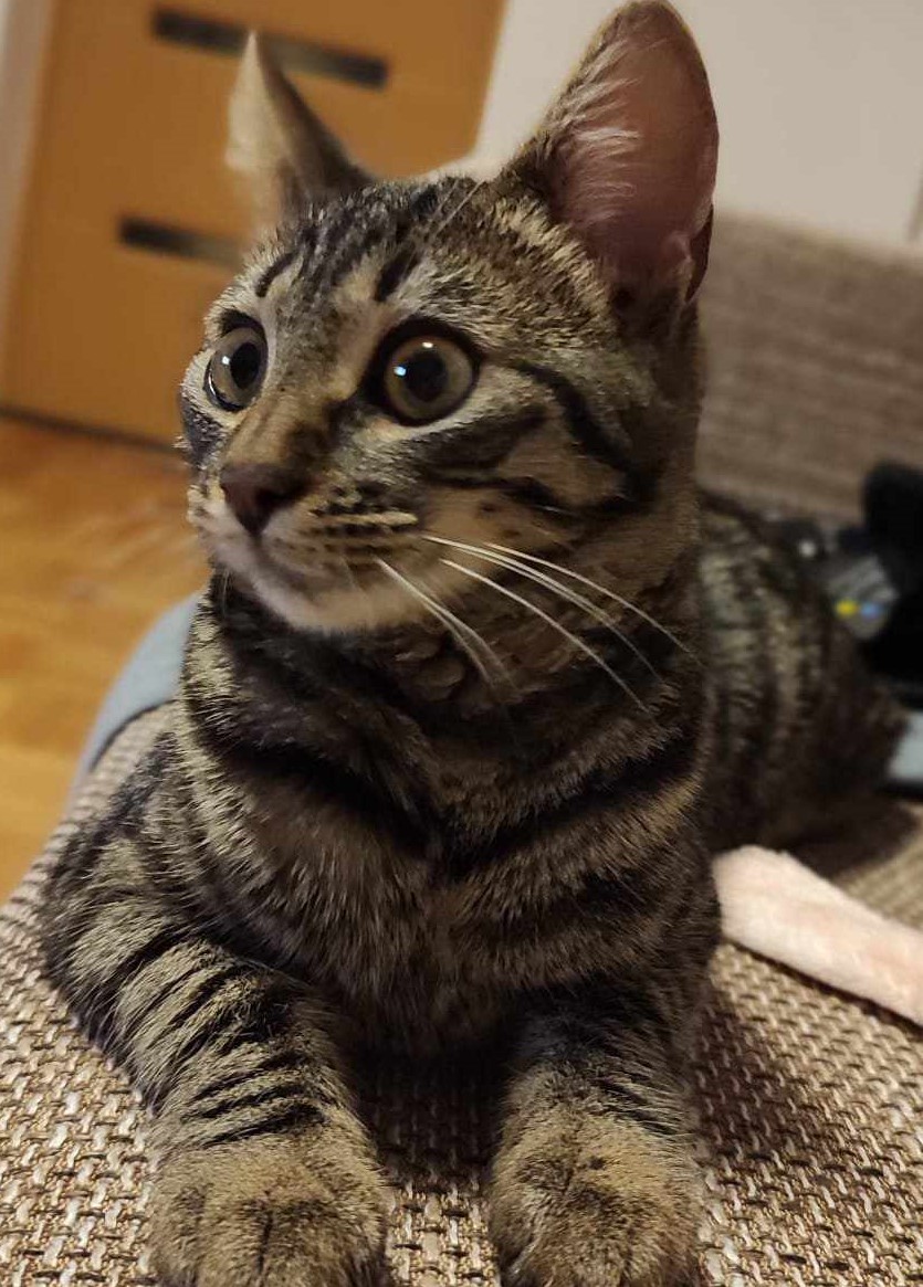 Dori