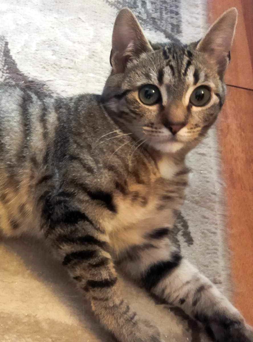 Billy