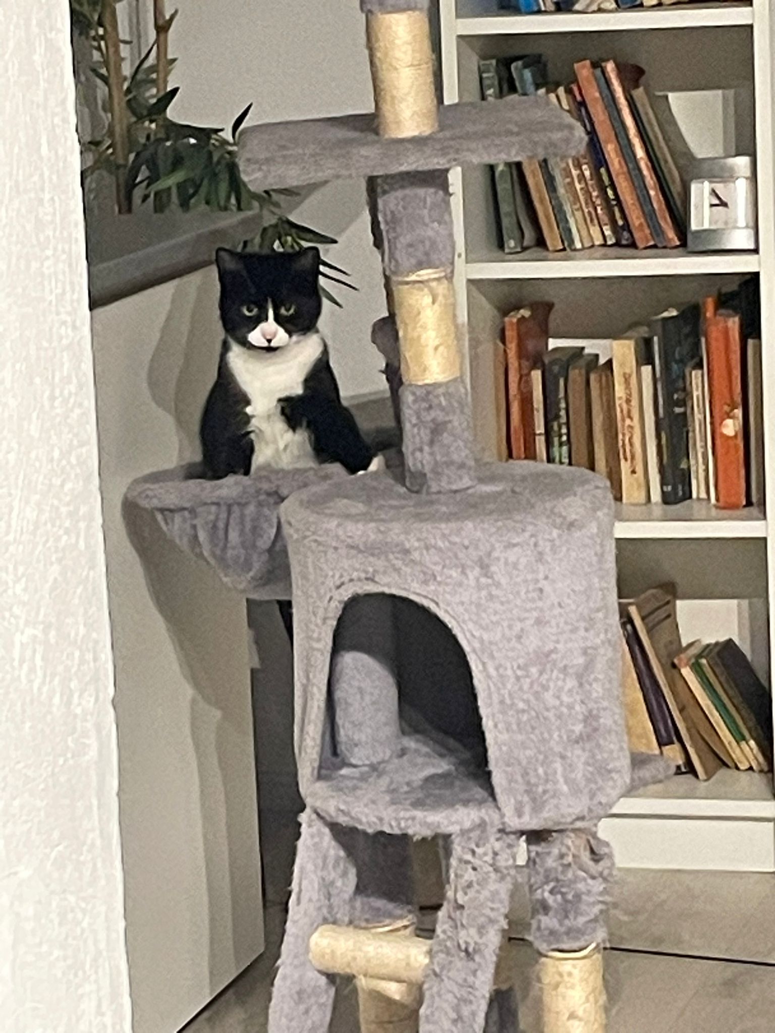 MINNIE își caută omul ei