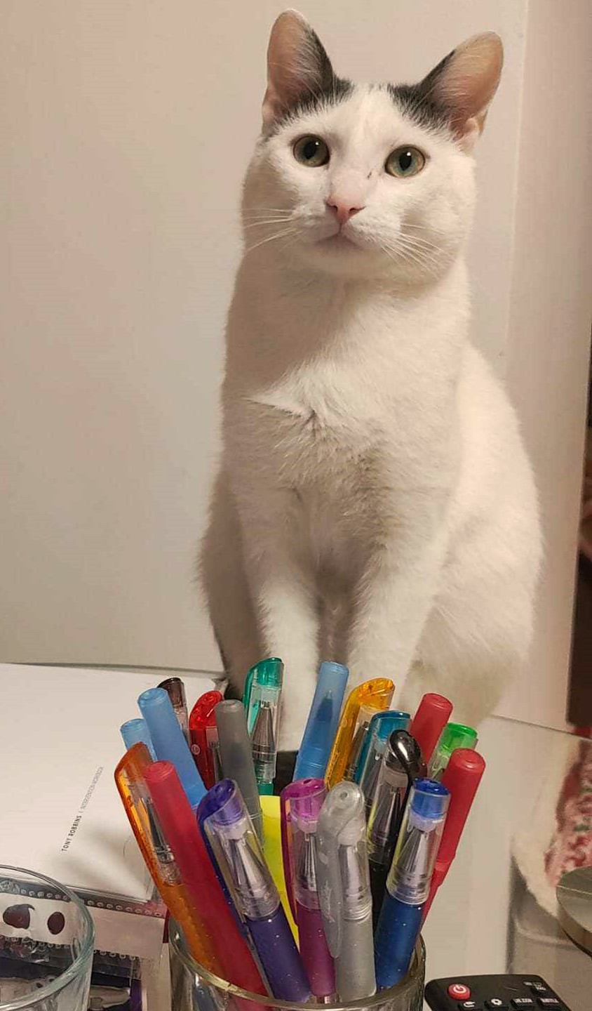 Olaf