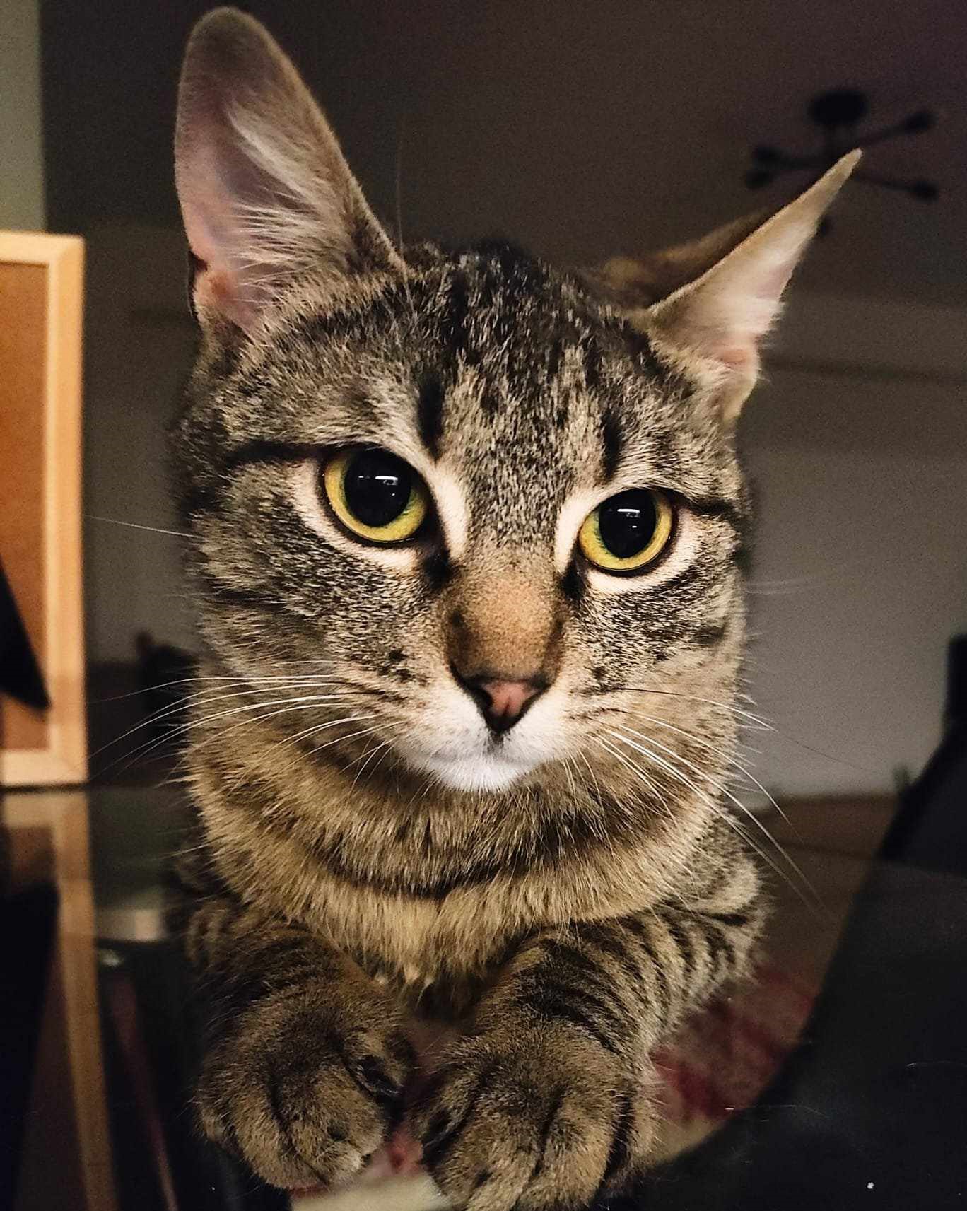 Missy