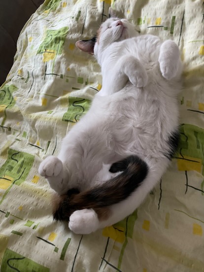 Luna pîs pîs