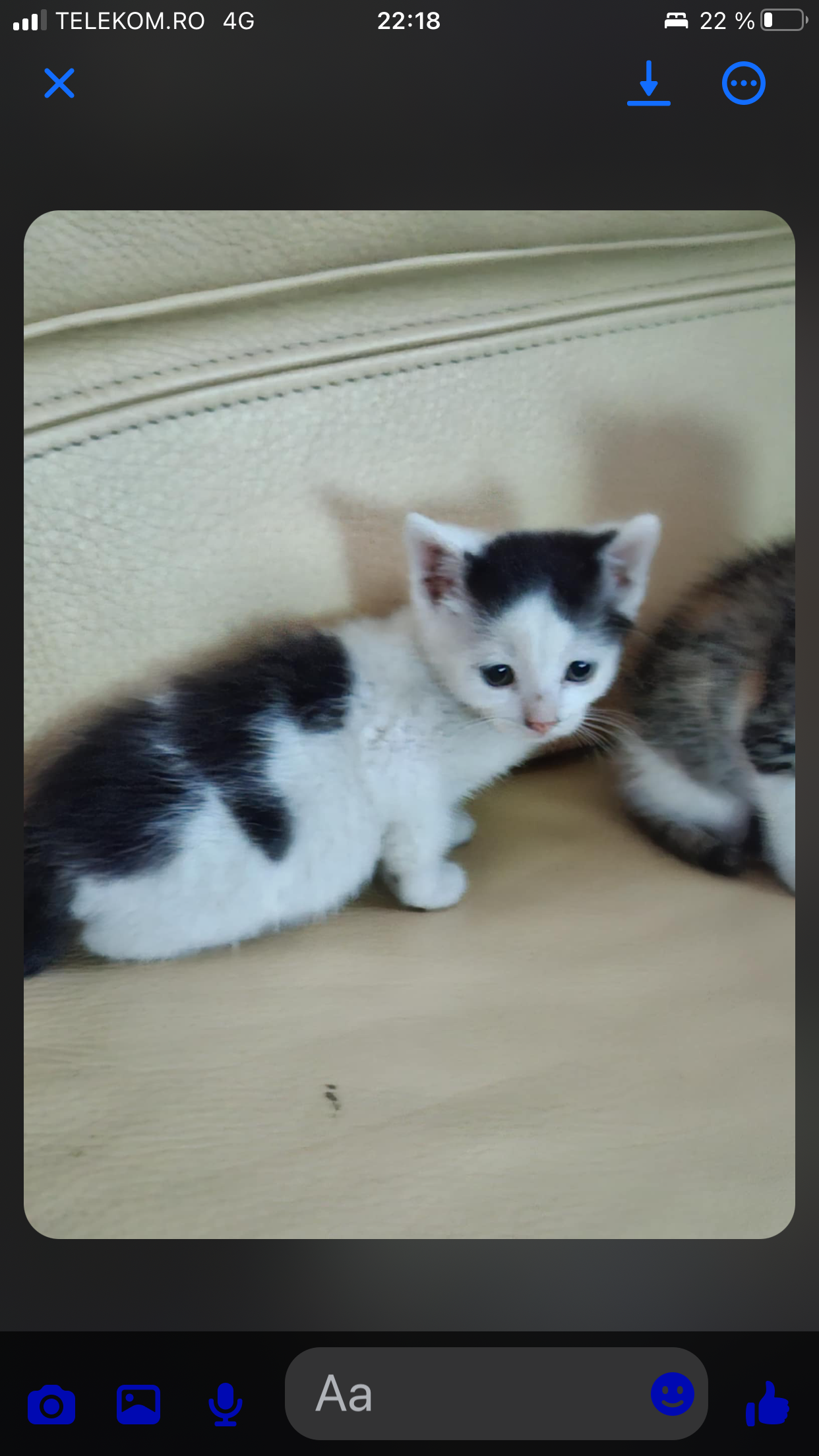 Pui