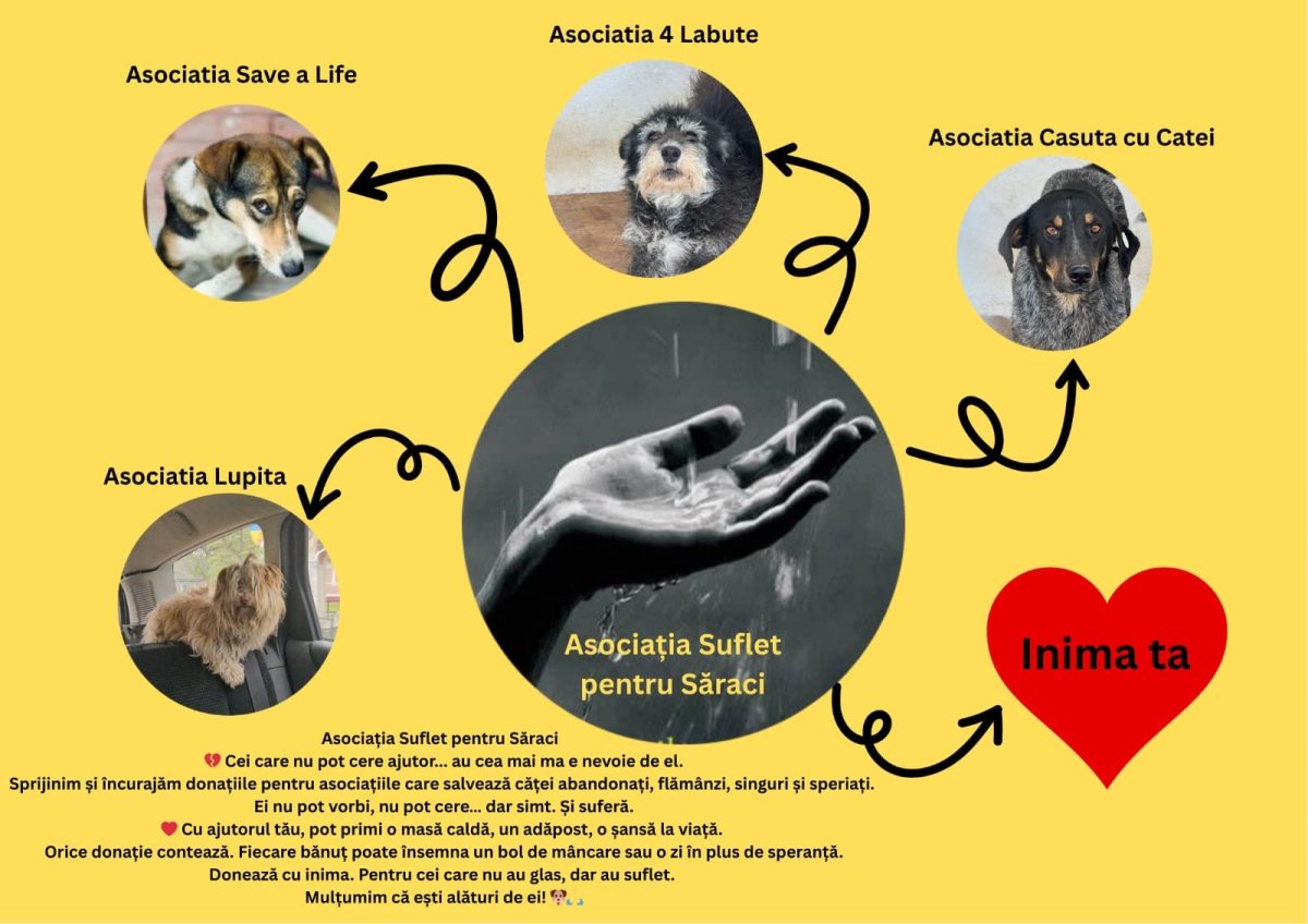 Adopții caini