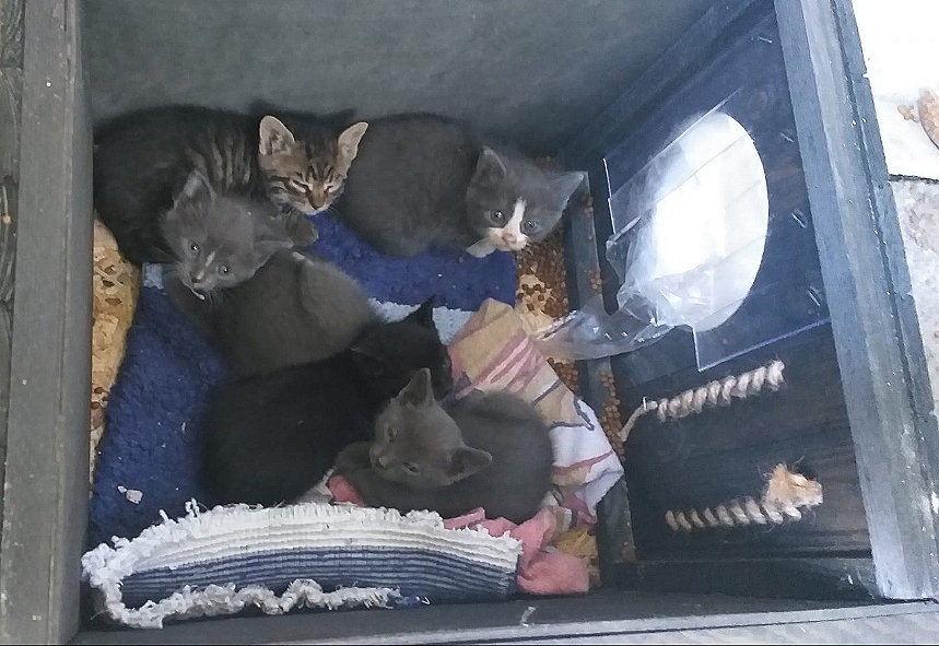 Avem nevoie de un cămin