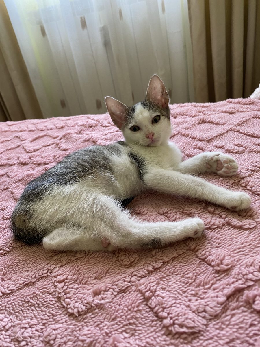 Minunata Sisi🥰