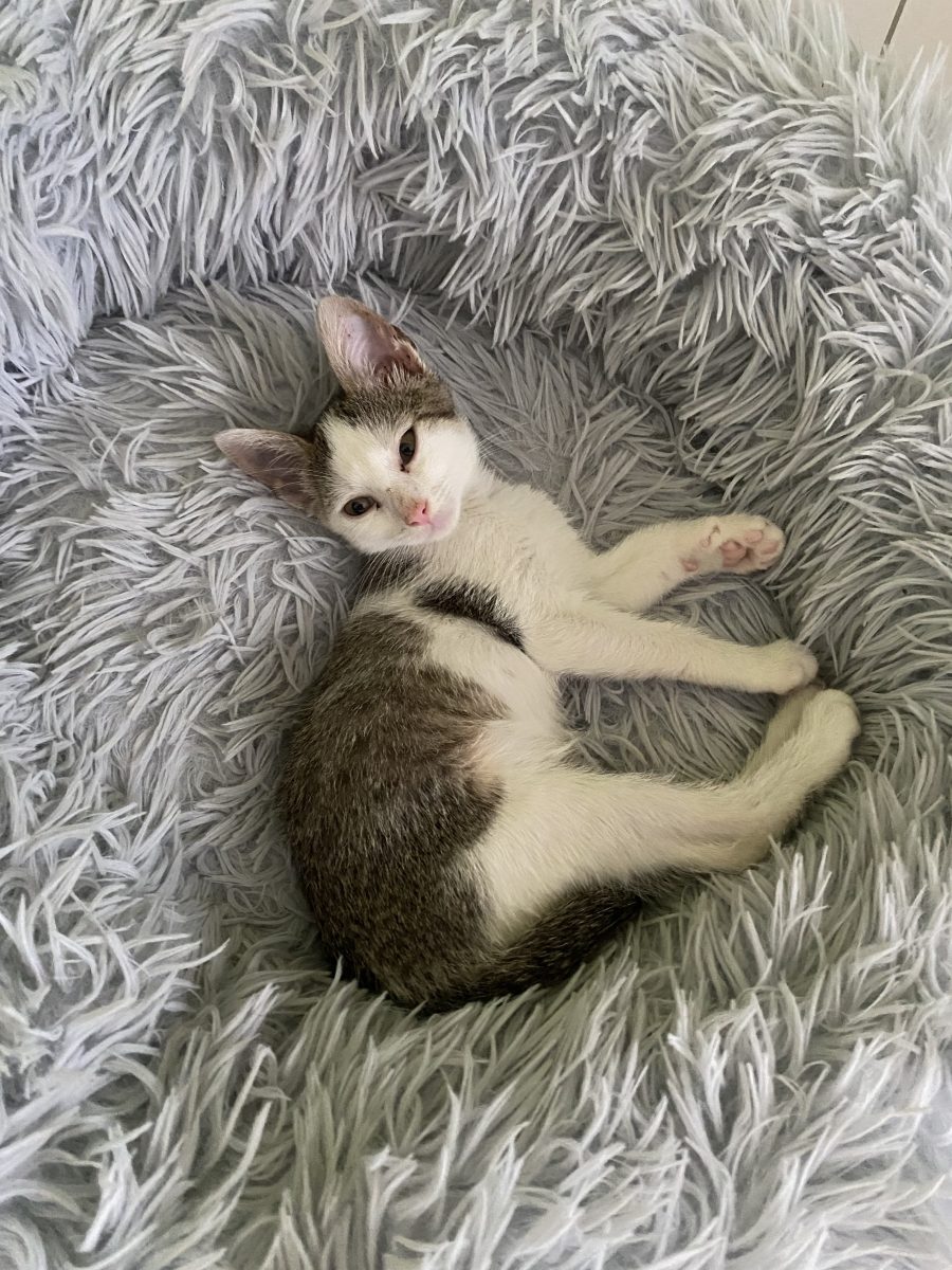 Frumoasa Sisi🥰