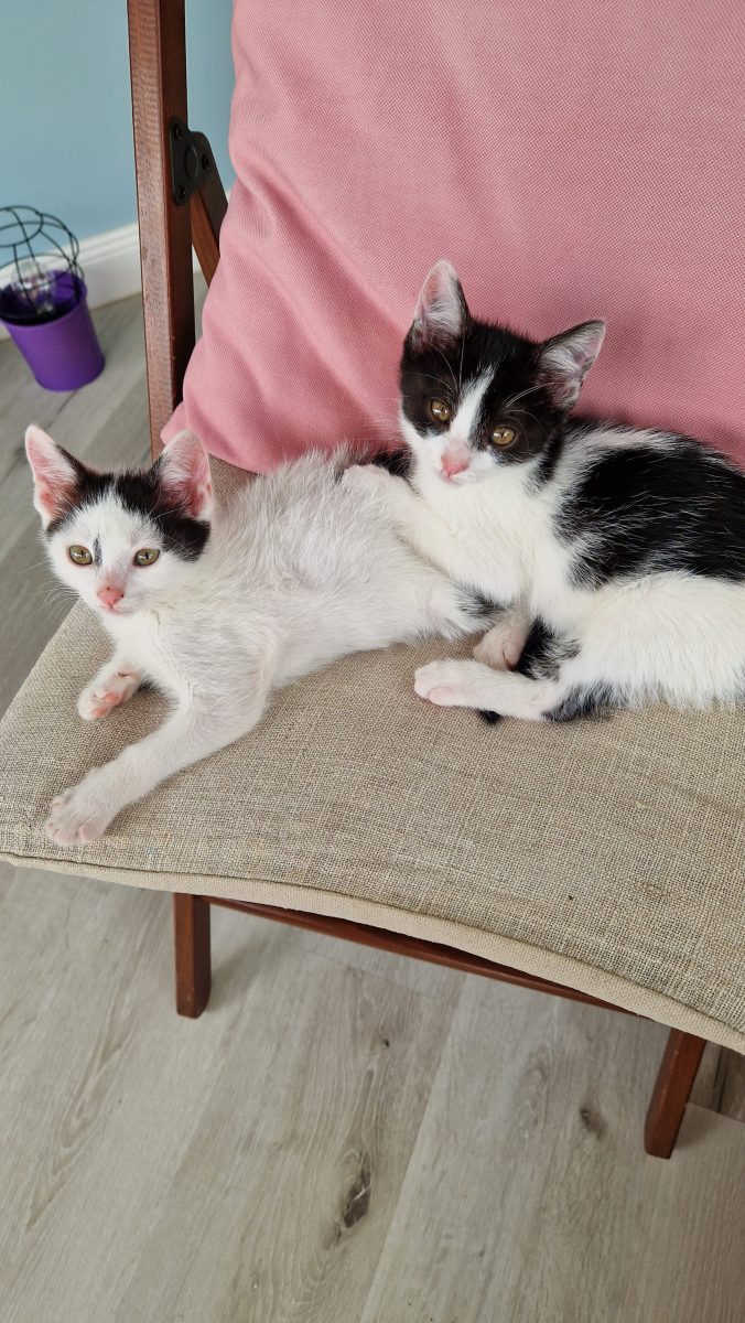 2 fetițe abandonate