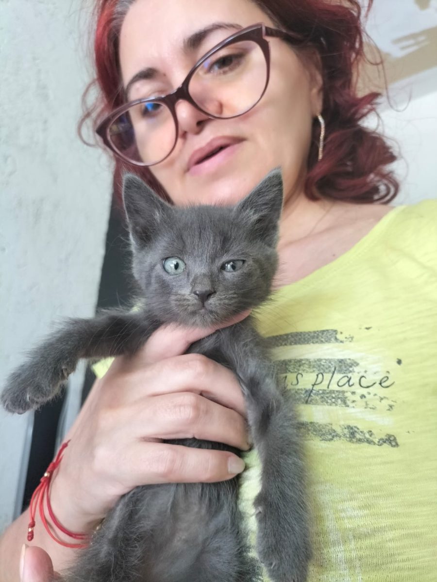 Fifi-pisicuta 2 luni