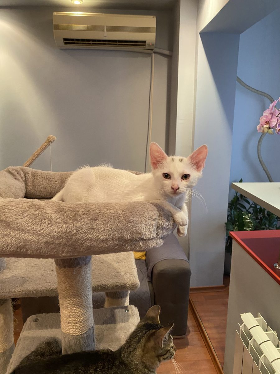 Superba Molly🥰