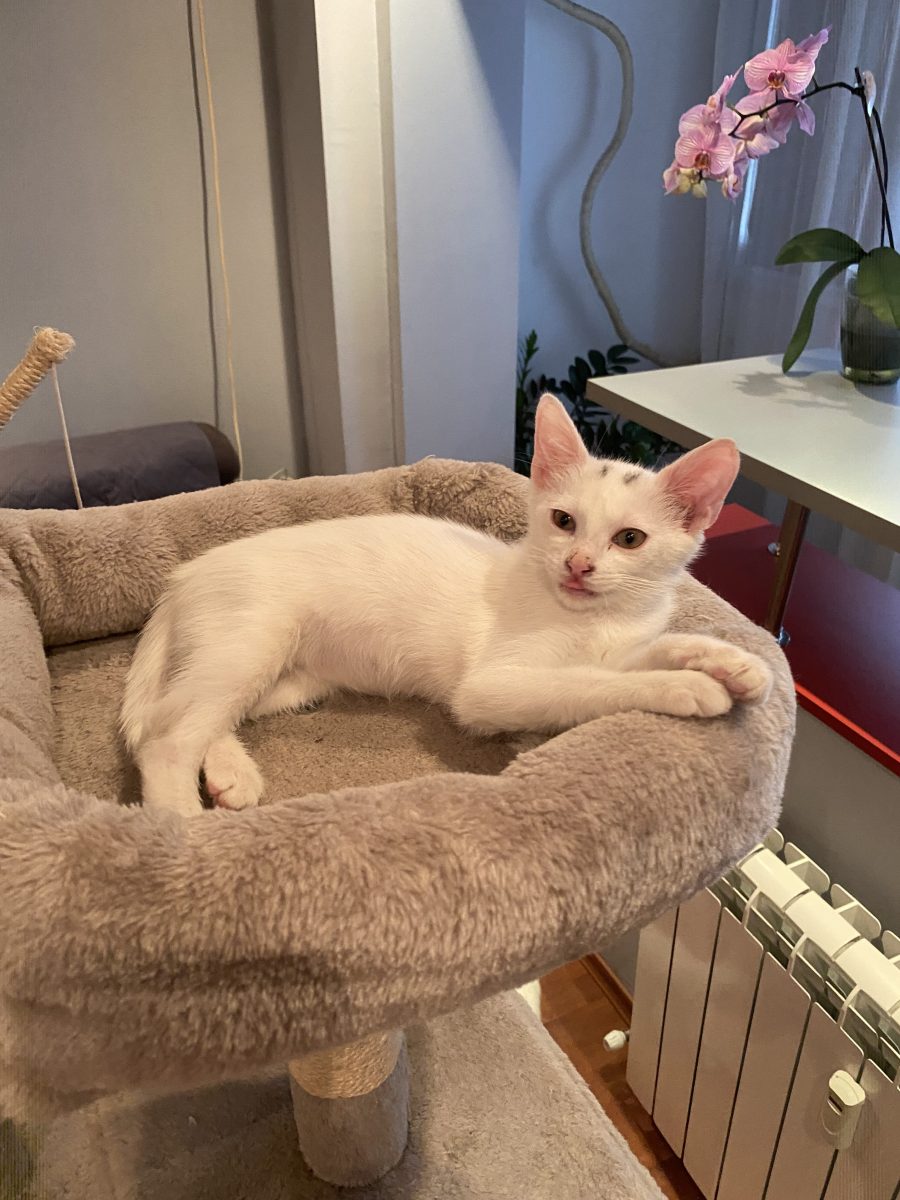 Frumoasa Molly💝🥰