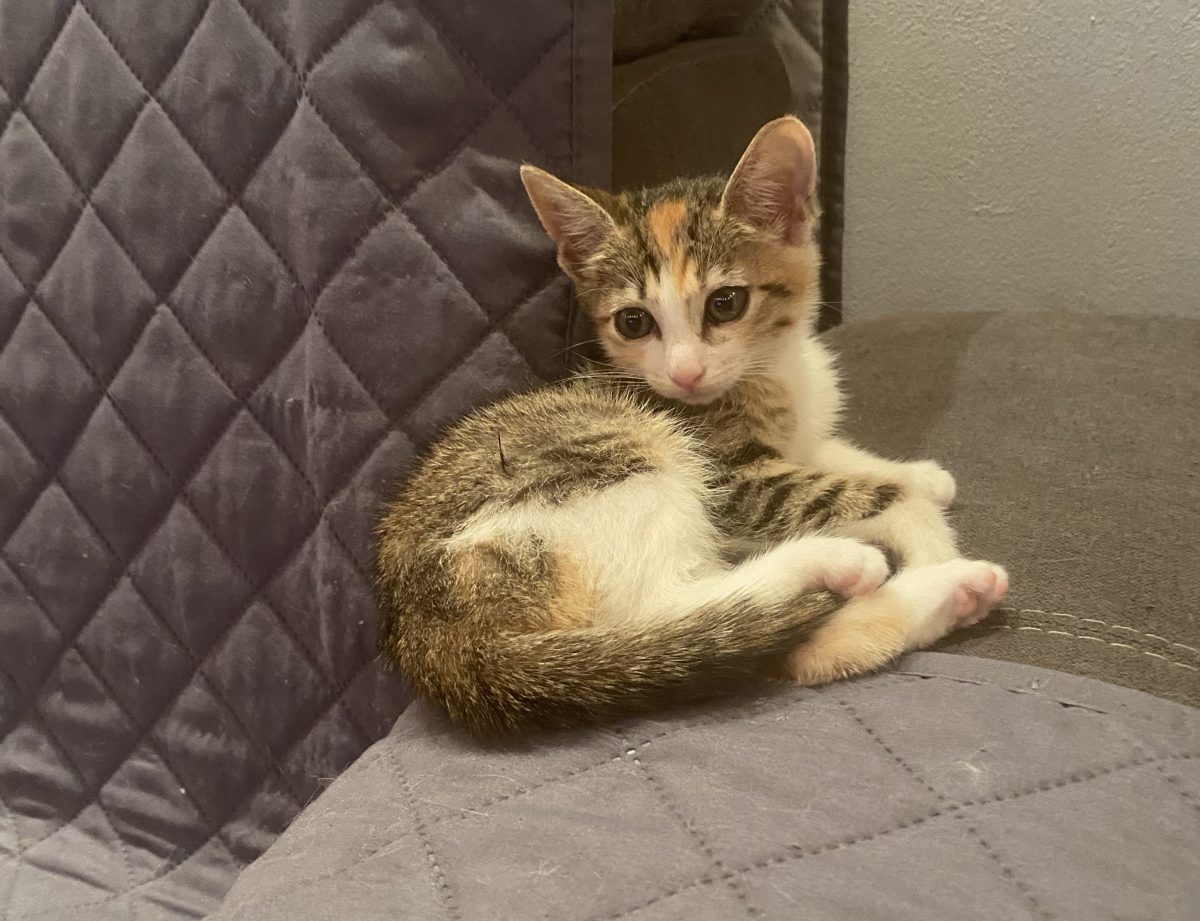 Missy dragalasa🥰💕💝