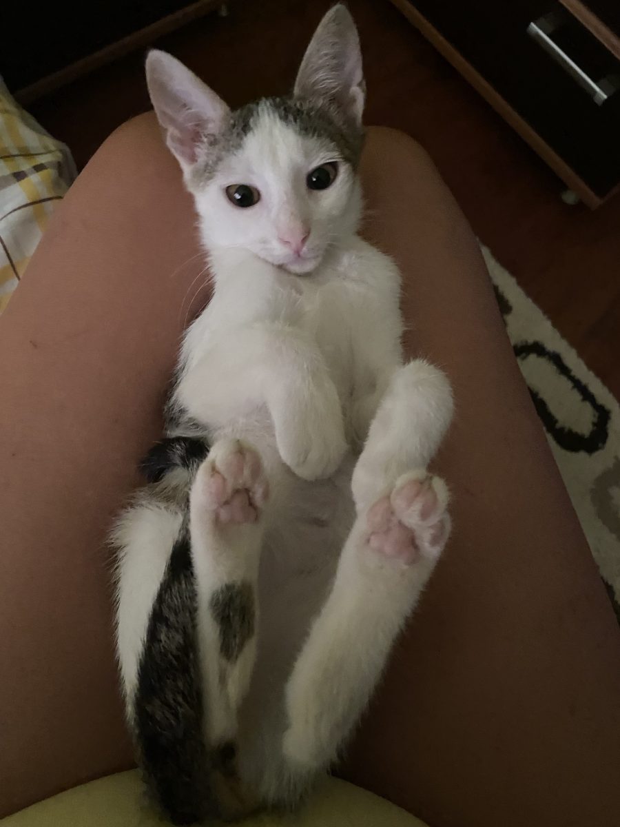 Frumoasa Alma 💕💕💕