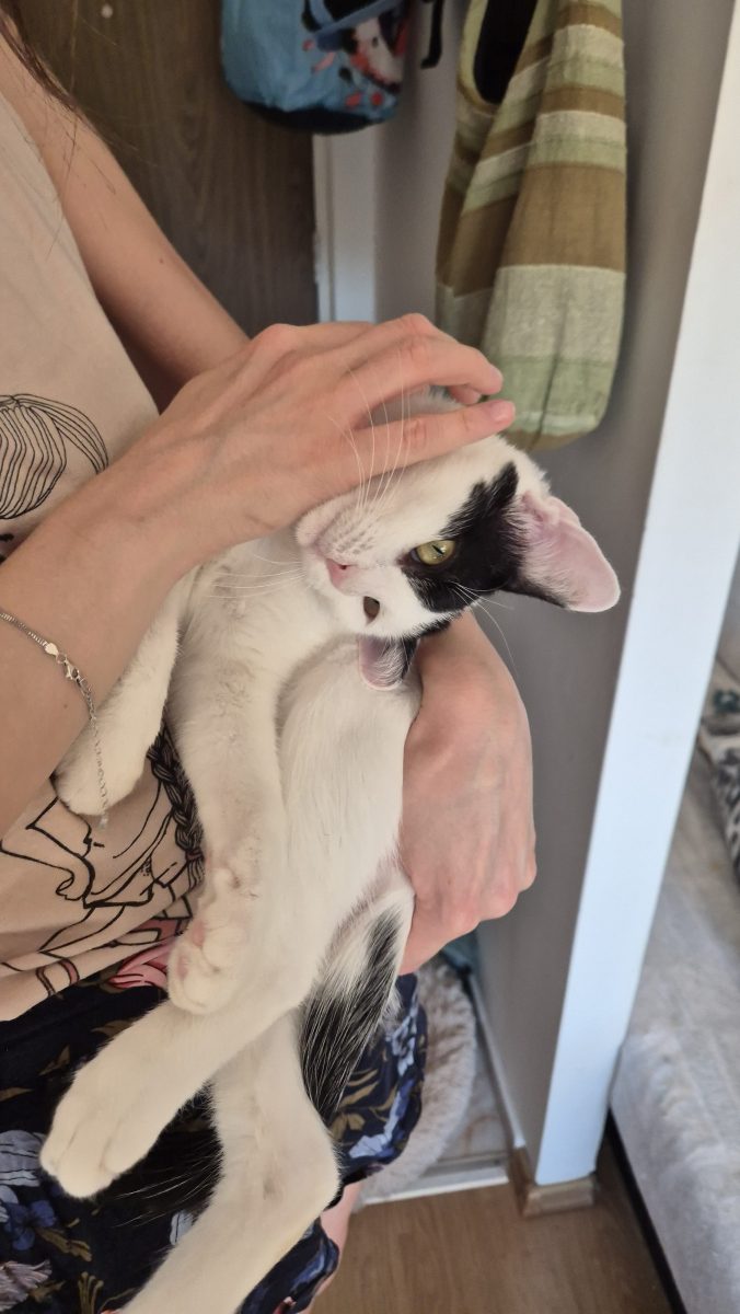 Tini, care se topeste numai cand o privesti