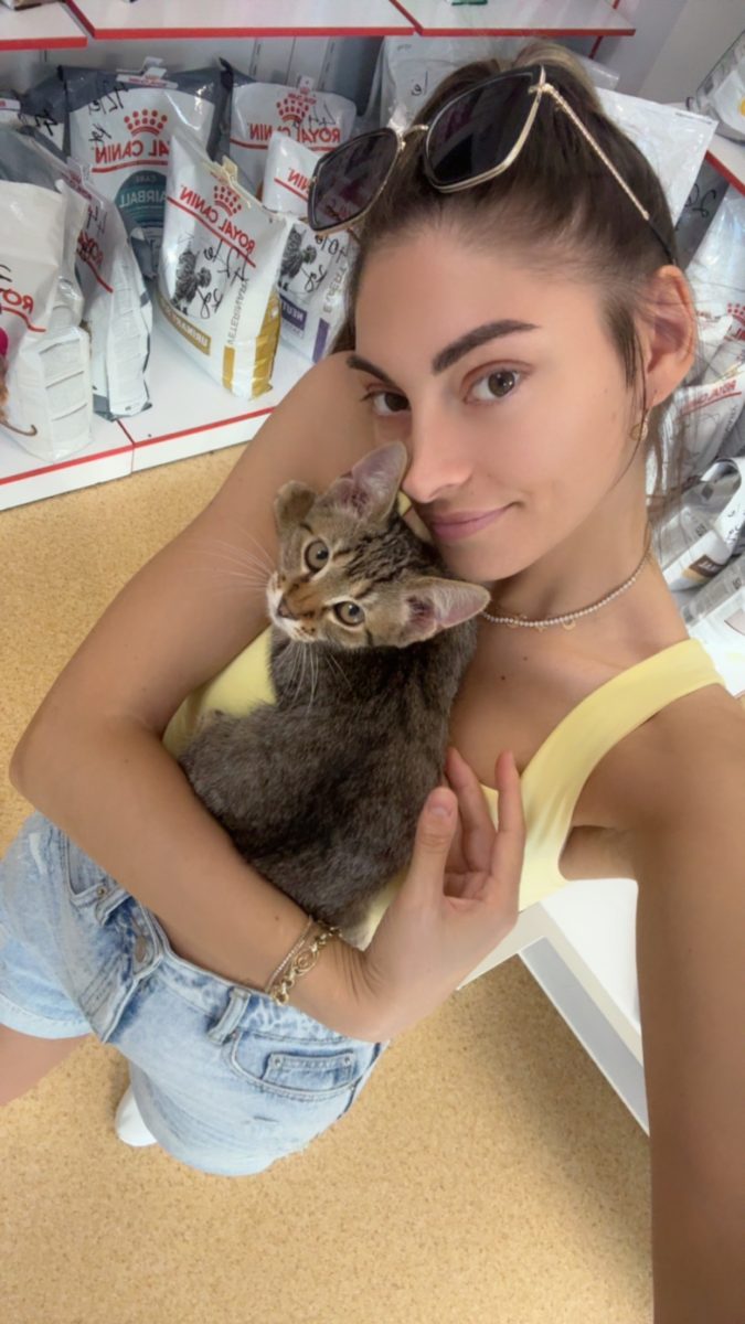 Mimi tigratâ
