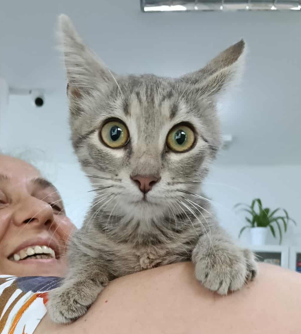 Alice si un vis / La un om al ei, care sa o iubeasca pe viata