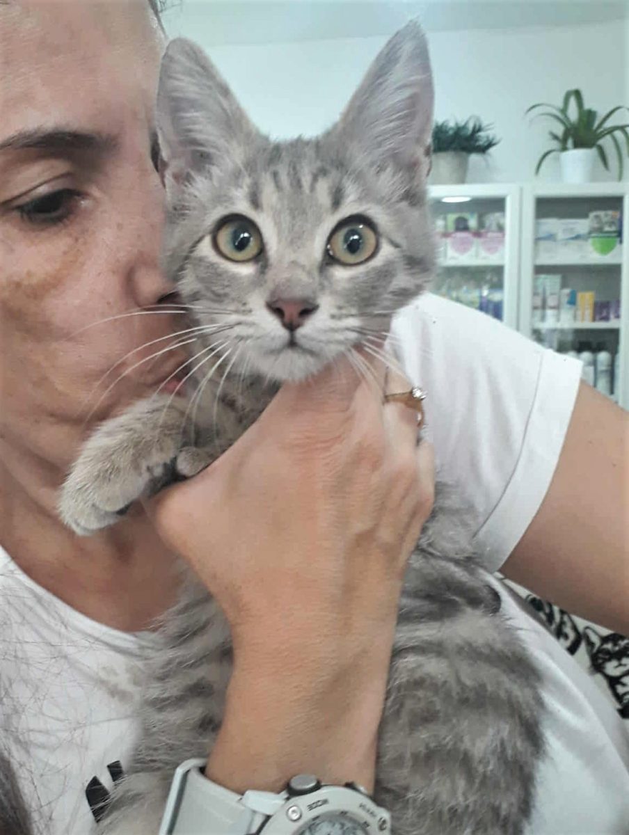 Alice si un vis / La un om al ei, care sa o iubeasca pe viata